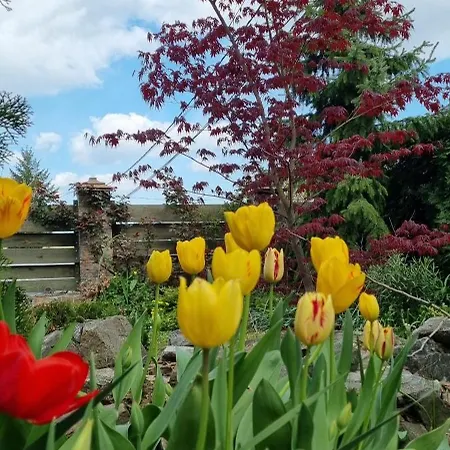 Aerport - Natura شقة بلغراد