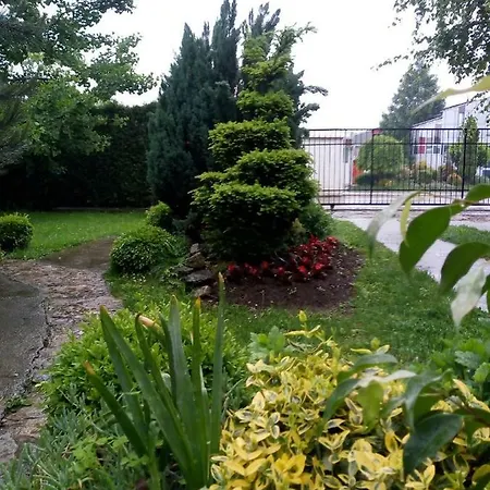 Aerport - Natura * بلغراد