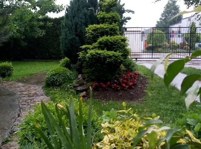 Aerport - Natura * بلغراد